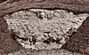 fr5.0912