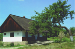 ro1.1220
